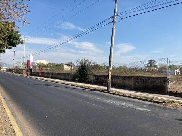 Foto de la galeria de imagenes