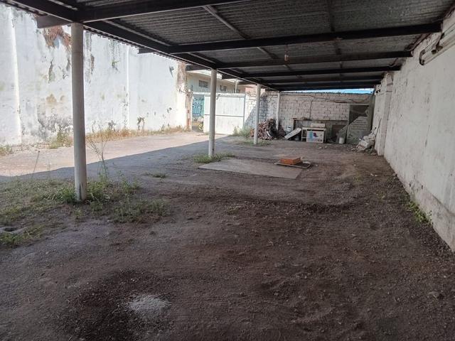 Foto de la galeria de imagenes
